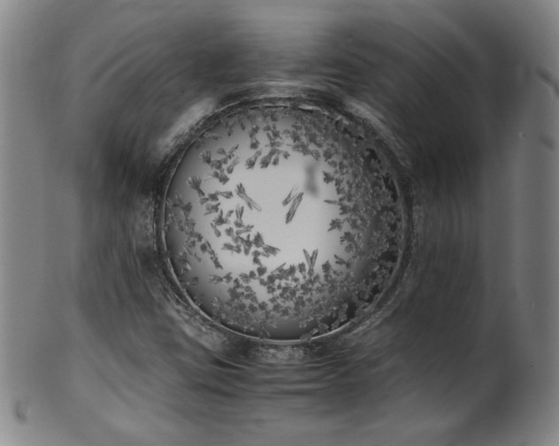 X0000102471403200808081239