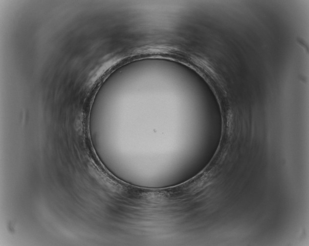 X0000102471404200808081239