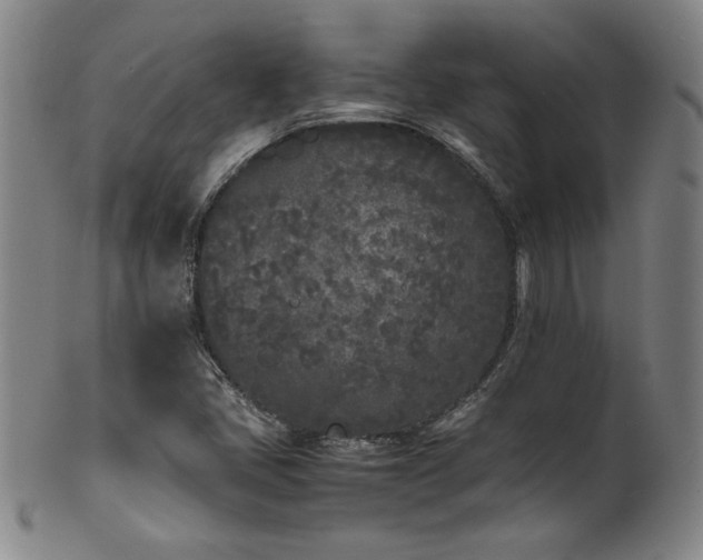 X0000102471405200808081239