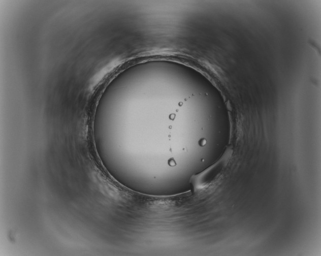 X0000102471406200808081239