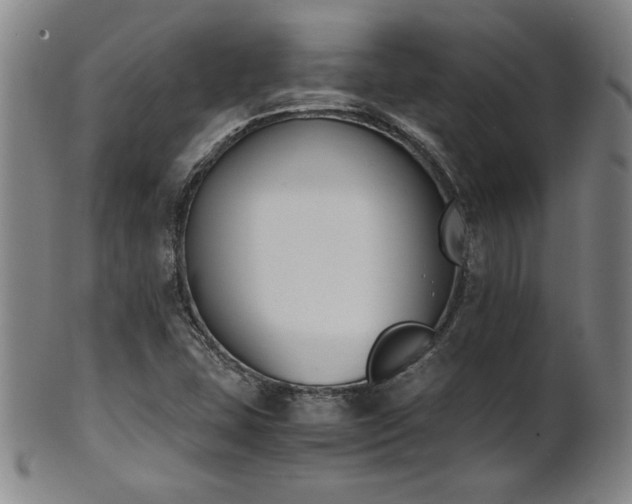 X0000102471407200808081239