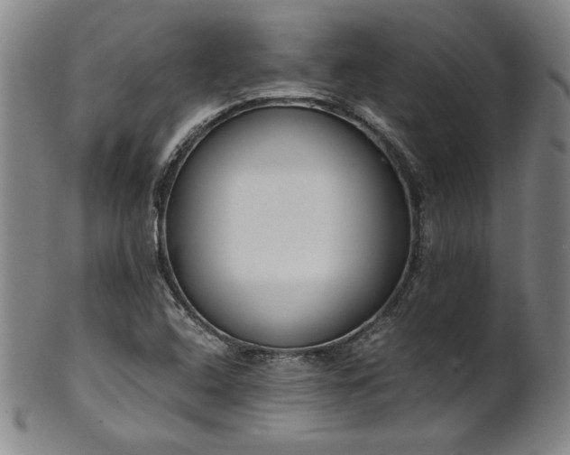 X0000102471408200808081239