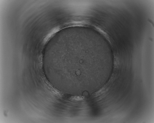 X0000102471411200808081239