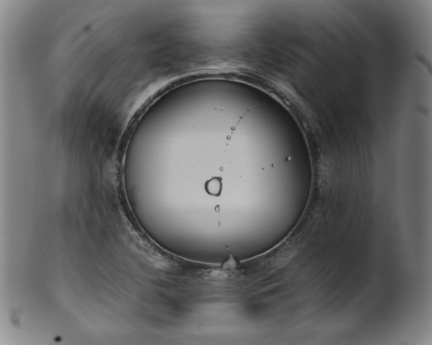 X0000102471412200808081239