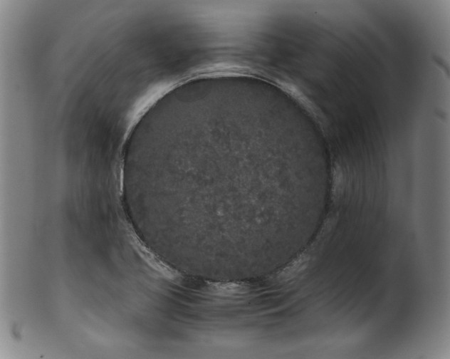 X0000102471413200808081239