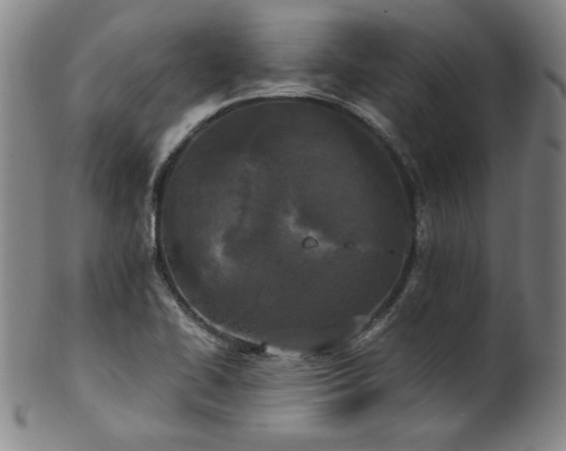 X0000102471414200808081239