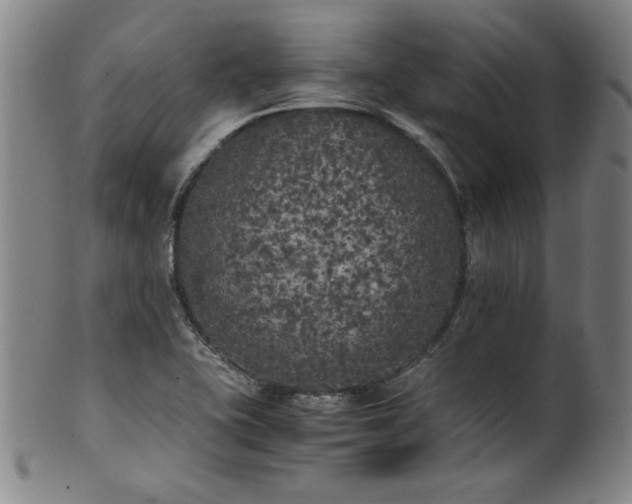 X0000102471415200808081239