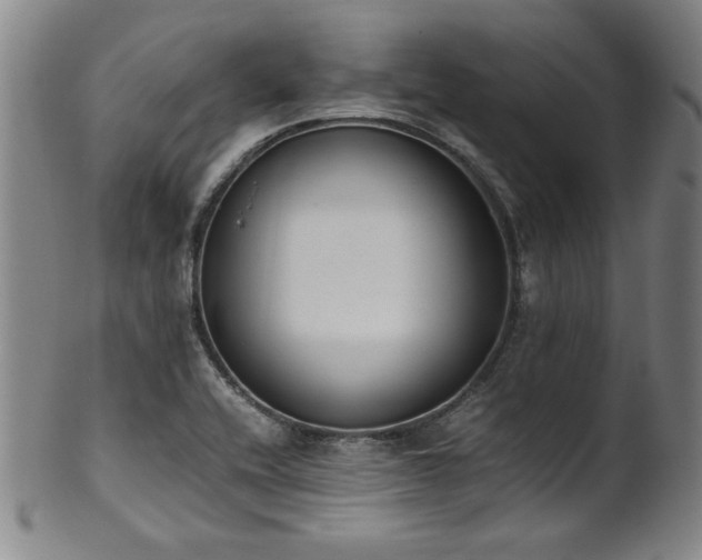 X0000102471416200808081239