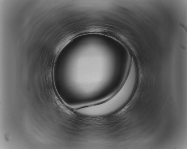 X0000102471417200808081239