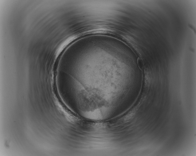 X0000102471418200808081239