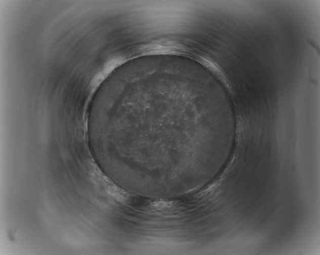X0000102471419200808081239