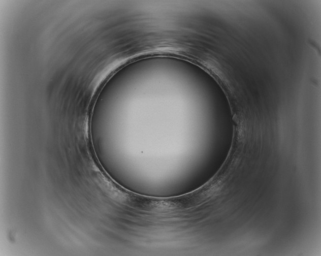 X0000102471420200808081239