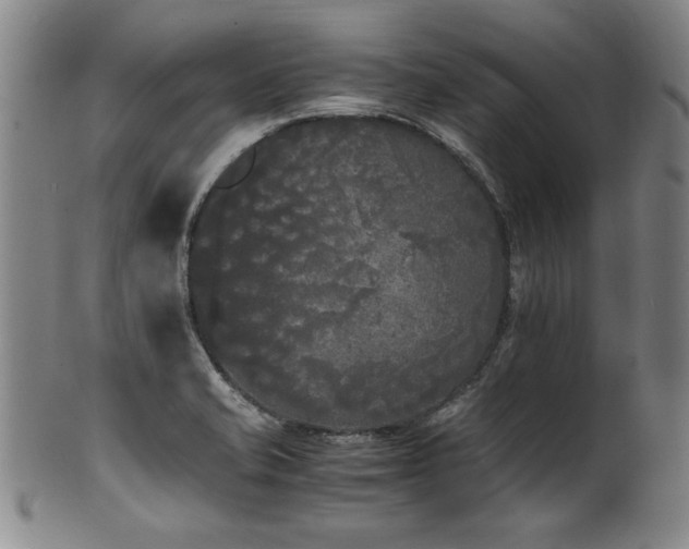 X0000102471421200808081239