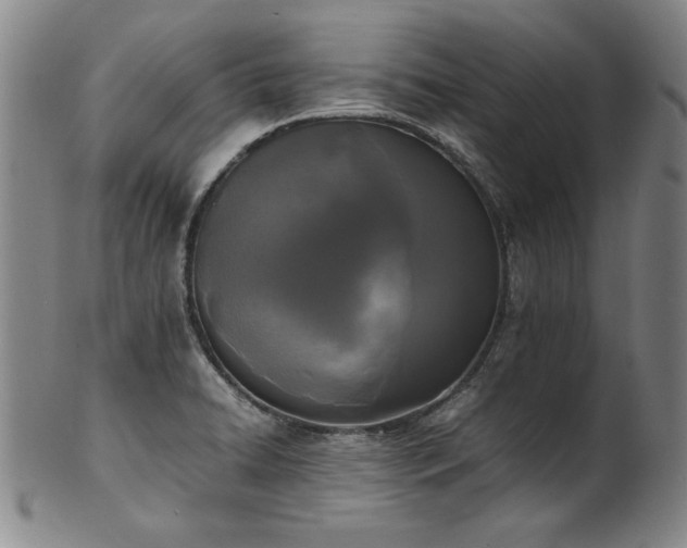 X0000102471422200808081239
