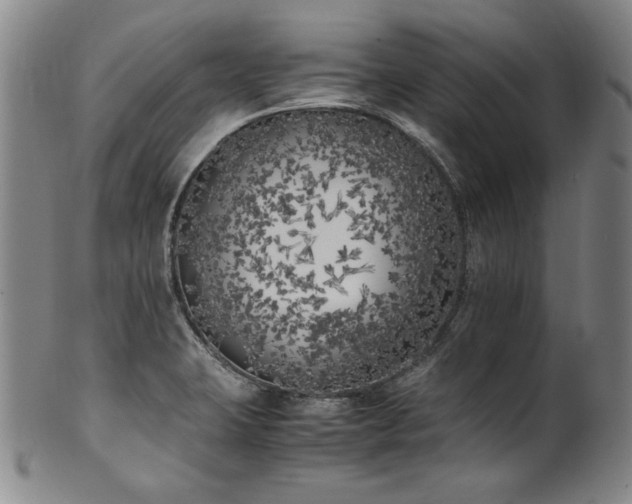 X0000102471423200808081239