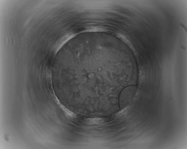 X0000102471425200808081239