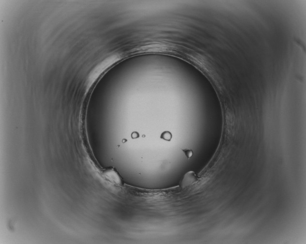 X0000102471426200808081239