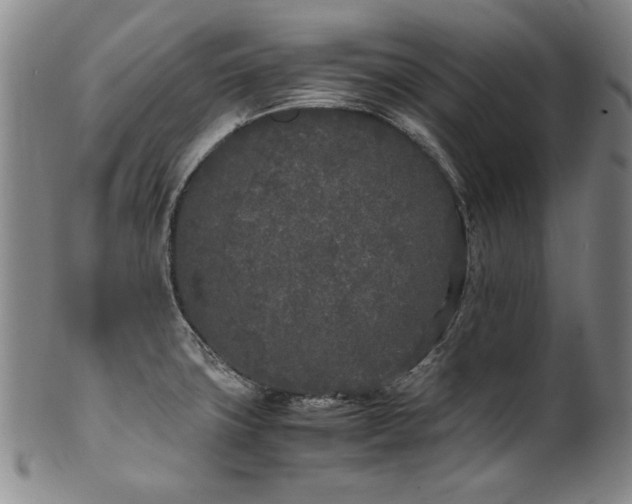 X0000102471427200808081239