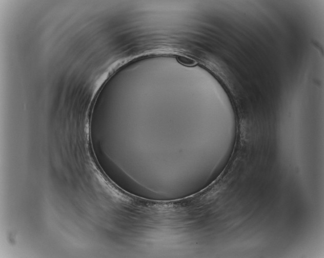 X0000102471428200808081239