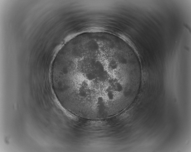 X0000102471429200808081239