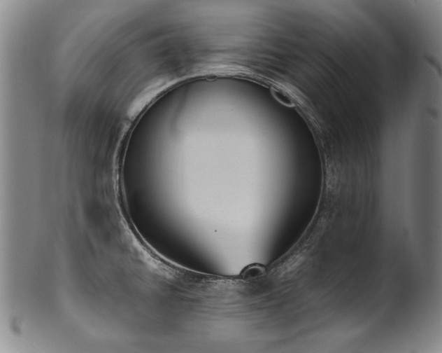 X0000102471430200808081239