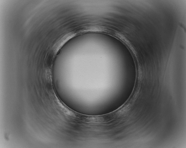 X0000102471433200808081239