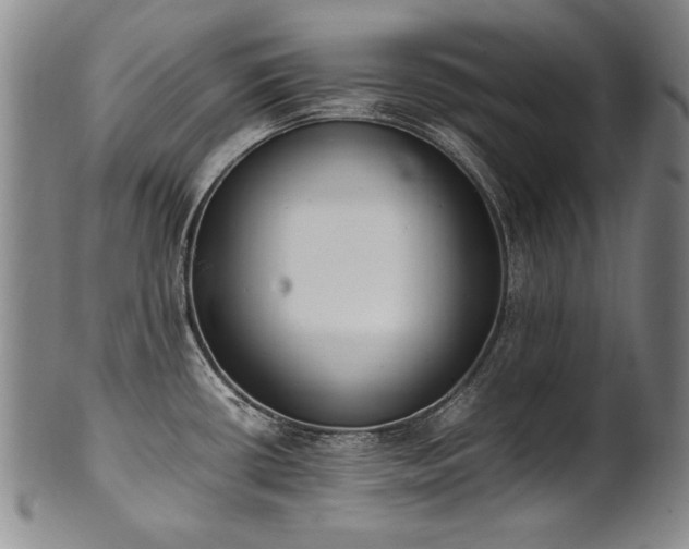 X0000102471434200808081239