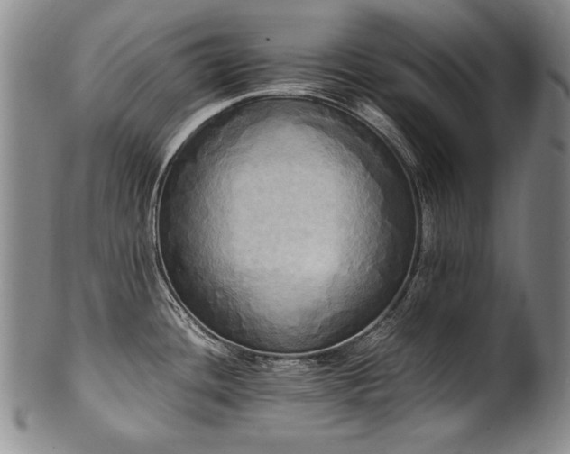 X0000102471436200808081240