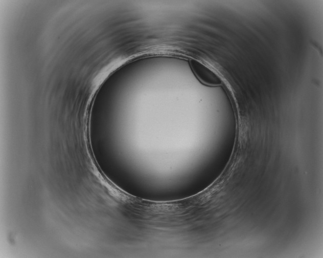 X0000102471437200808081240