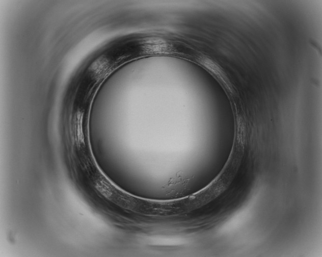 X0000102471439200808081240