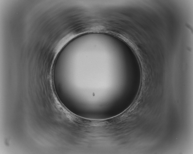 X0000102471440200808081240