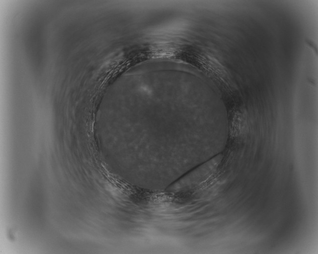 X0000102471441200808081239