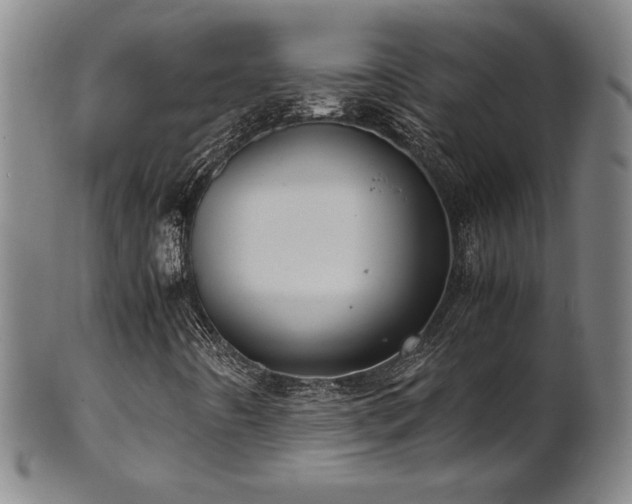 X0000102471442200808081239