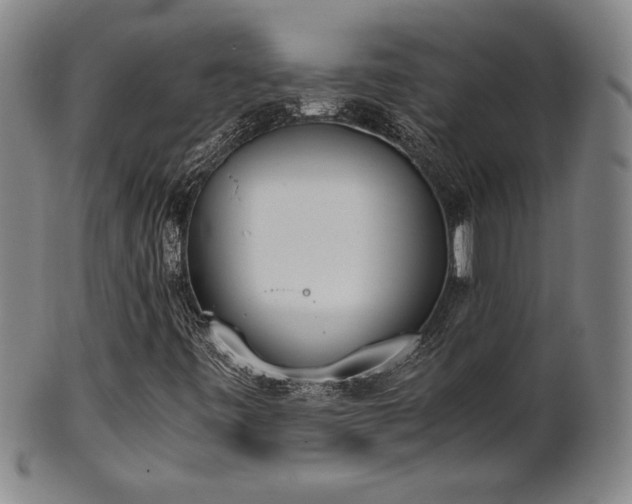 X0000102471443200808081239