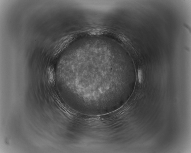 X0000102471444200808081239