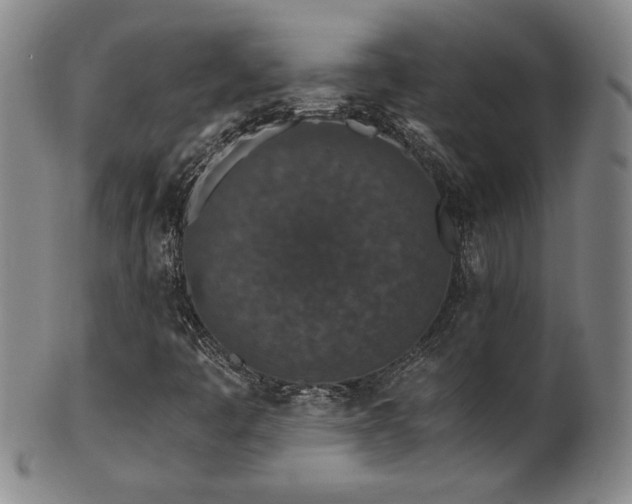 X0000102471445200808081239