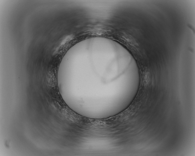 X0000102471446200808081239