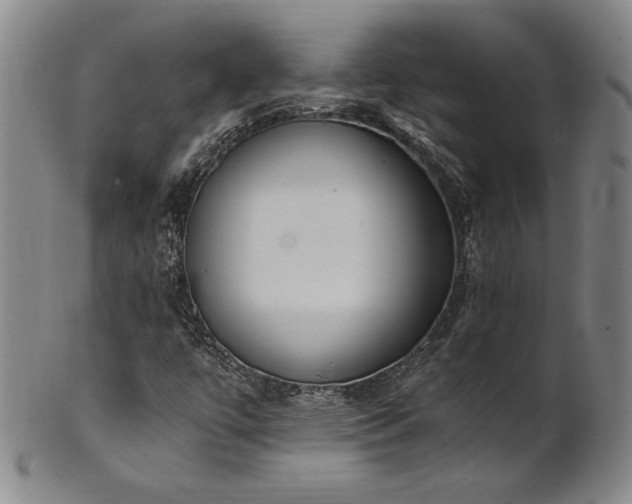 X0000102471447200808081239