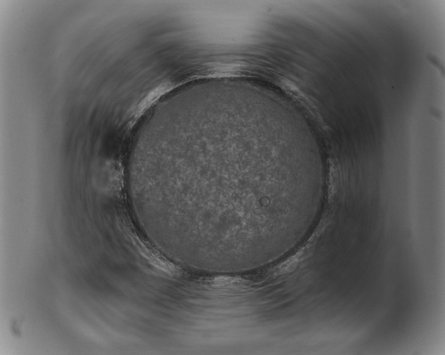 X0000102471449200808081239