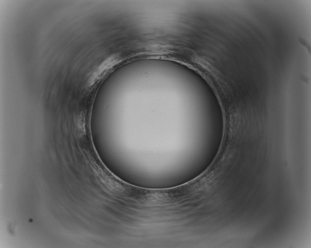 X0000102471451200808081239