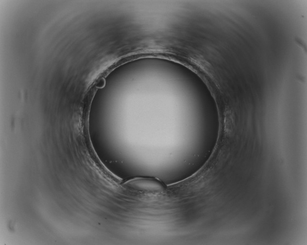 X0000102471452200808081239