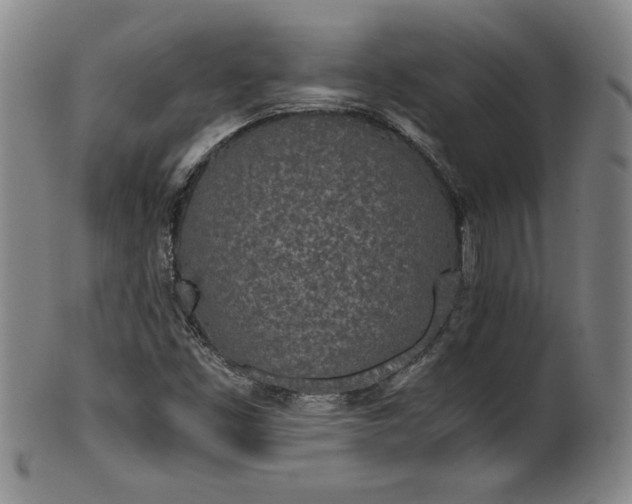 X0000102471453200808081239