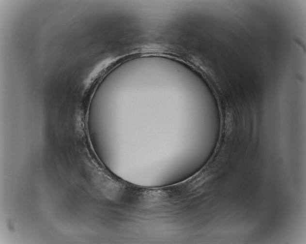 X0000102471454200808081239