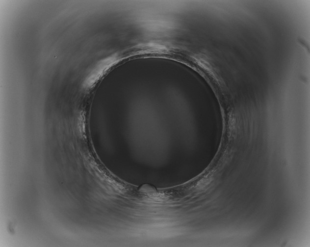 X0000102471455200808081239