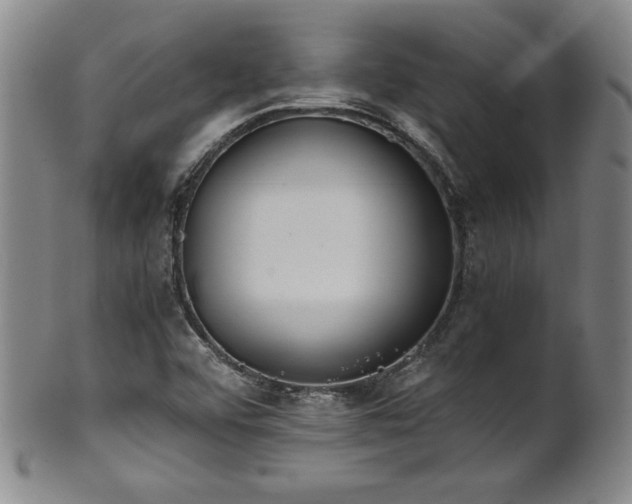 X0000102471456200808081239