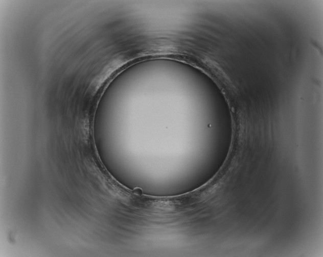 X0000102471457200808081239