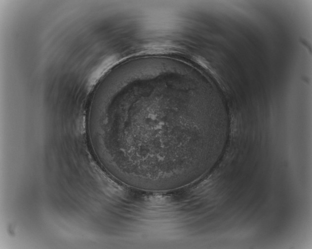 X0000102471459200808081239
