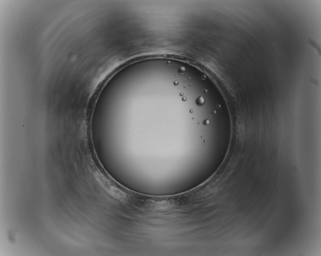 X0000102471460200808081239