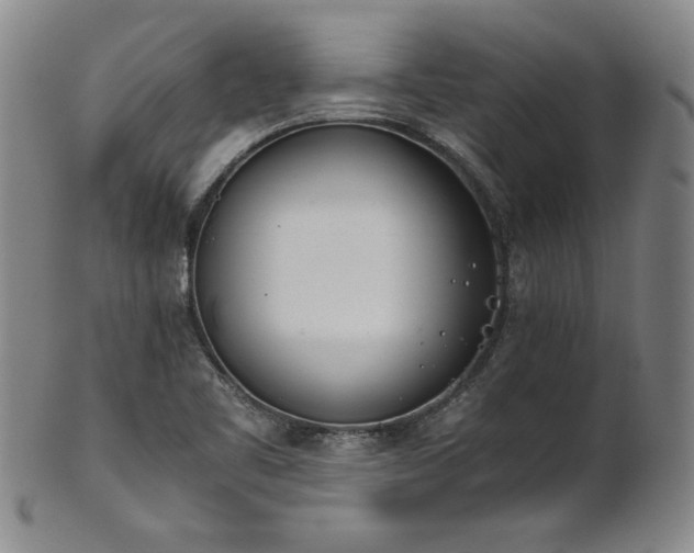 X0000102471461200808081239