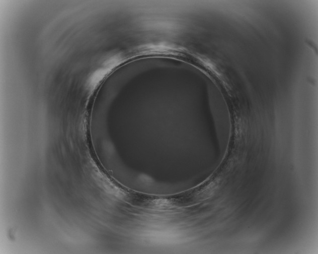 X0000102471463200808081239
